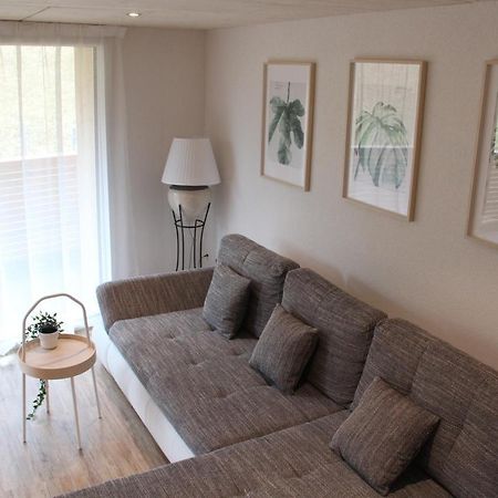 Mountain Oasis Apartment Kandersteg-Adelboden 坎德格伦德 外观 照片