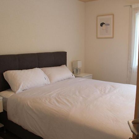 Mountain Oasis Apartment Kandersteg-Adelboden 坎德格伦德 外观 照片