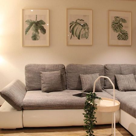 Mountain Oasis Apartment Kandersteg-Adelboden 坎德格伦德 外观 照片