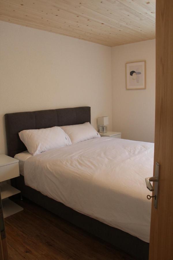 Mountain Oasis Apartment Kandersteg-Adelboden 坎德格伦德 外观 照片