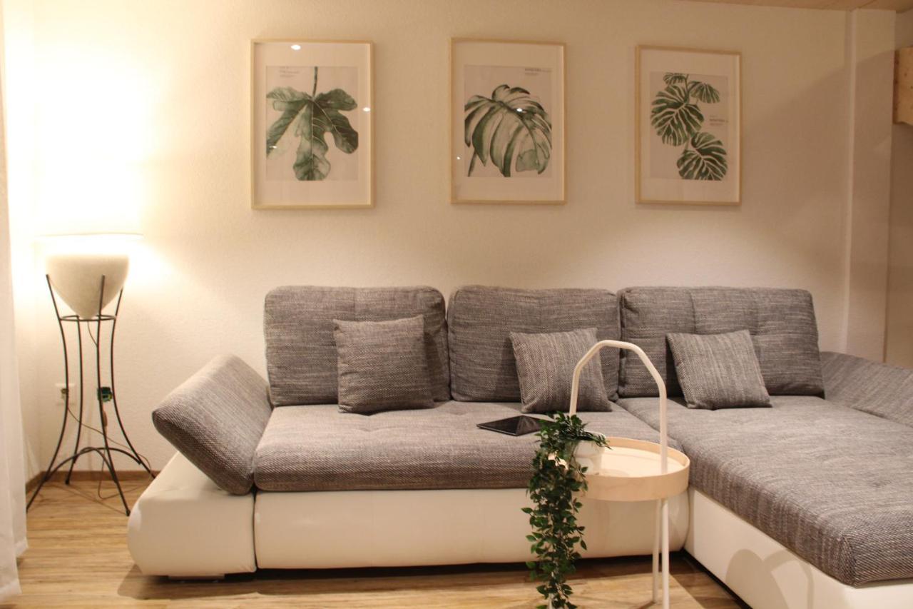 Mountain Oasis Apartment Kandersteg-Adelboden 坎德格伦德 外观 照片