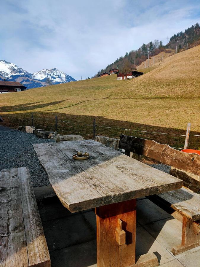 Mountain Oasis Apartment Kandersteg-Adelboden 坎德格伦德 外观 照片